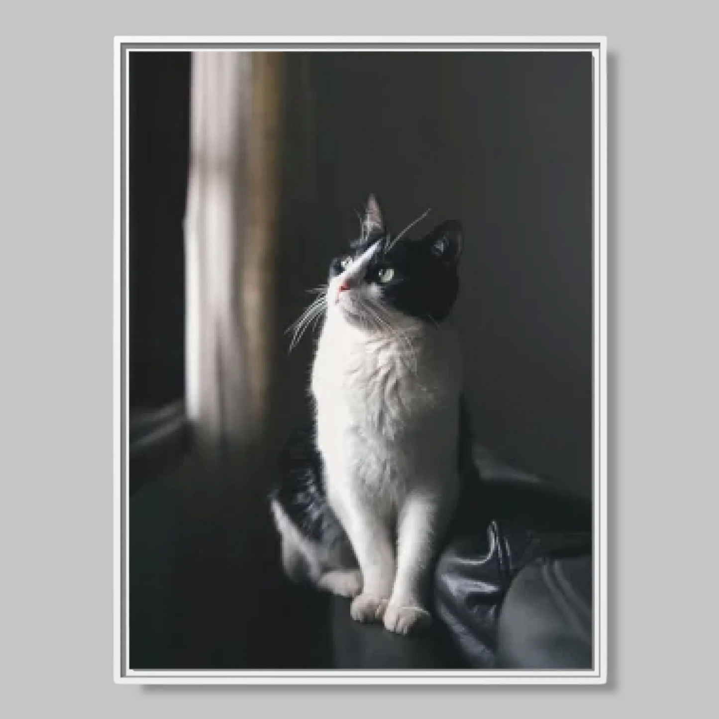 White Framed Closeup 30x40 (3.4) Vertical Rectangular Canvas