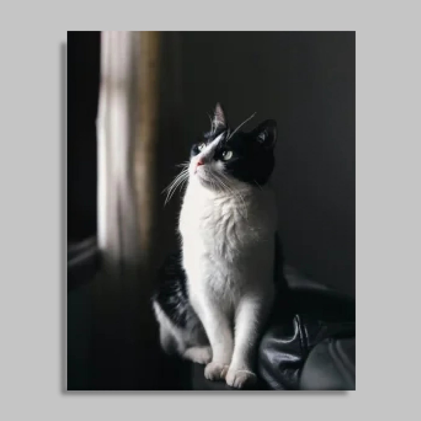Unframed Closeup 16x20 Vertical Canvas (4.5) Mockup For TIB