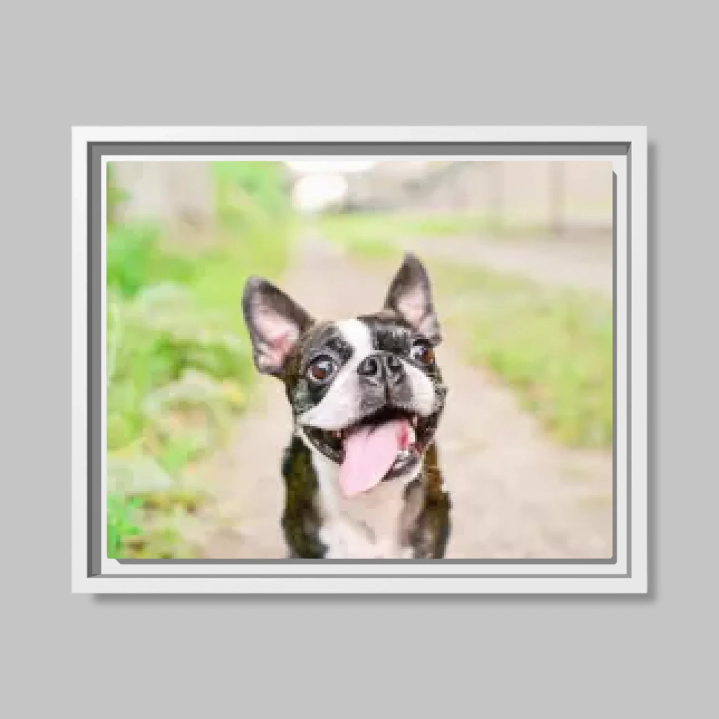 White Framed Closeup 14.11 (14.11) Horizontal Canvas Mockup