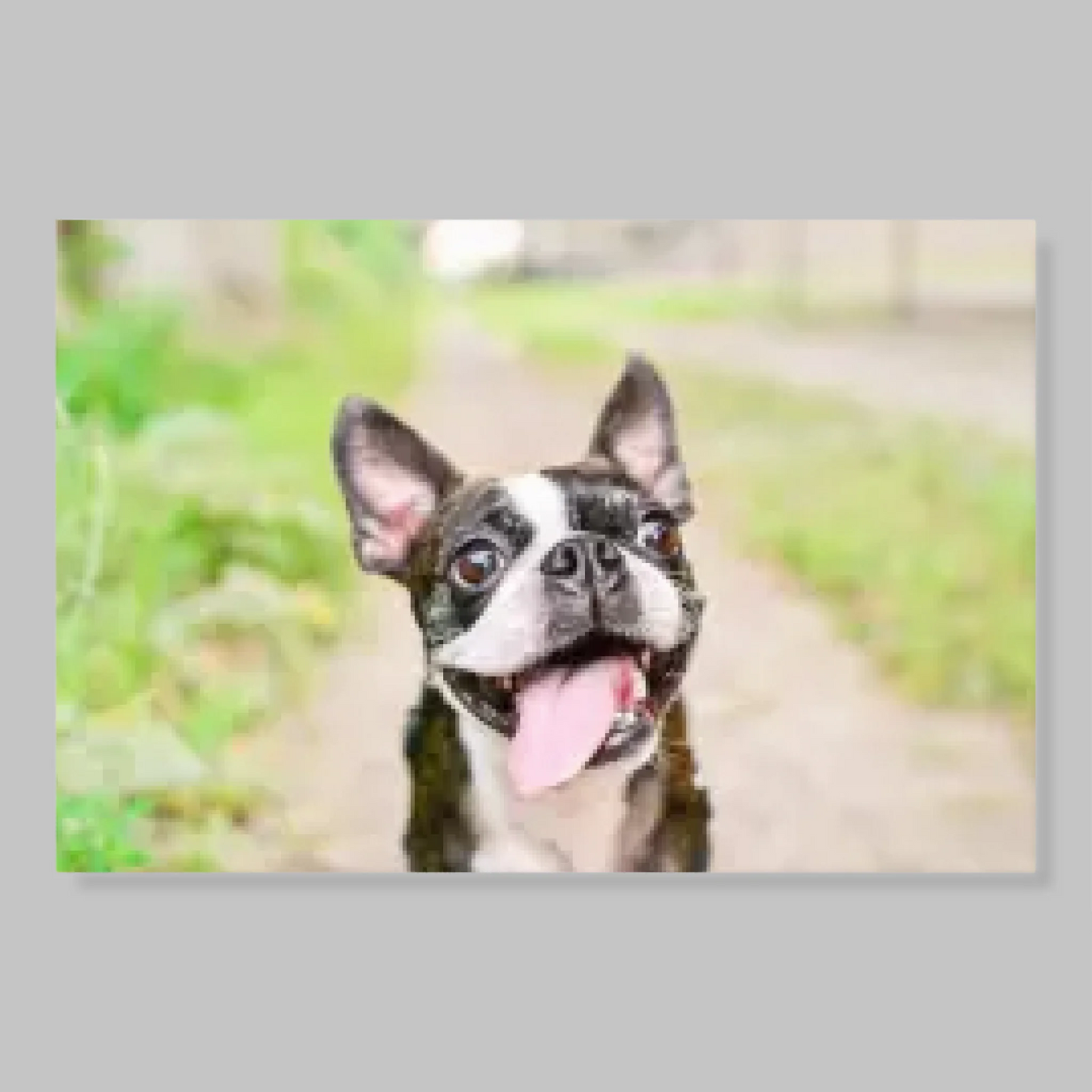 Unframed Closeup 24x36 Vertical Canvas (2.3) Mockup For TIB