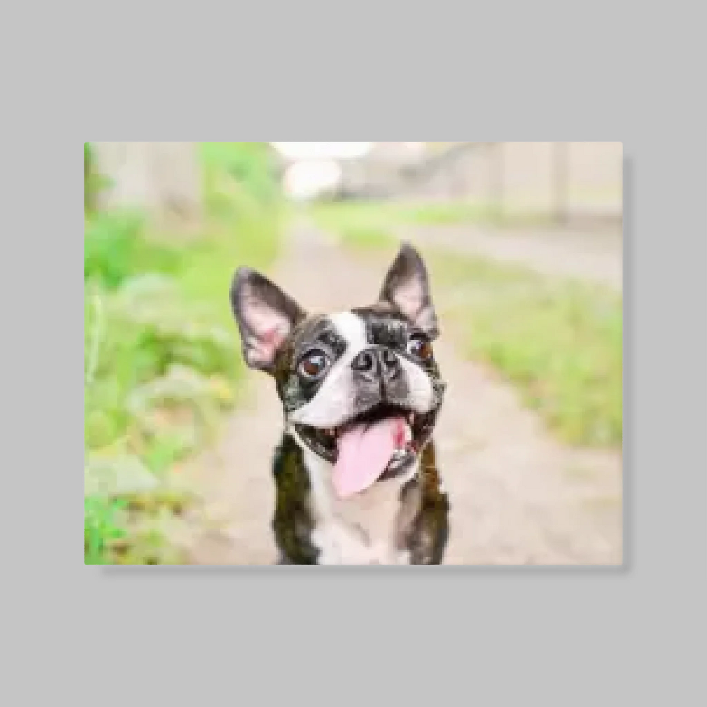 Unframed Closeup 14.11 (14.11) Horizontal Canvas Mockup