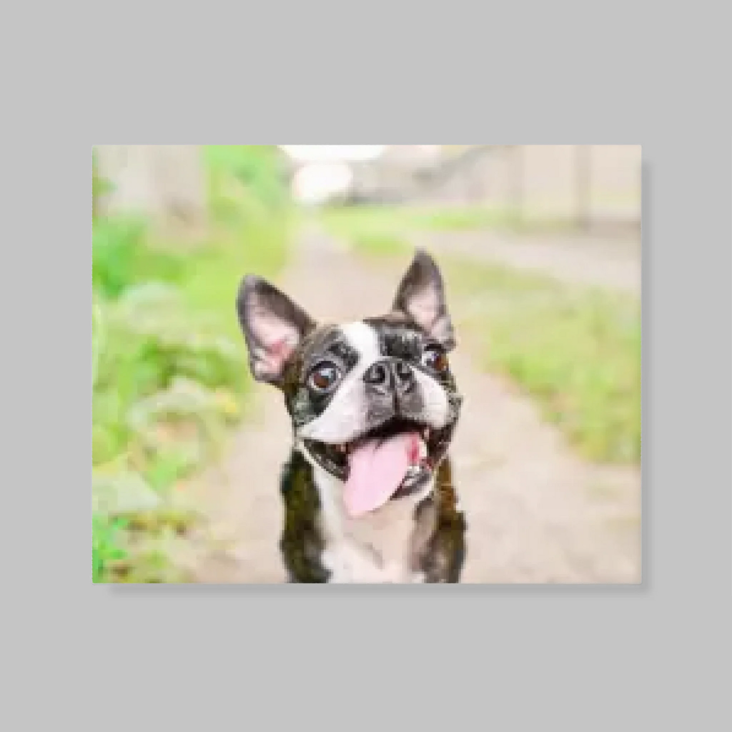 Unframed Closeup 16x20 Vertical Canvas (4.5) Mockup For TIB