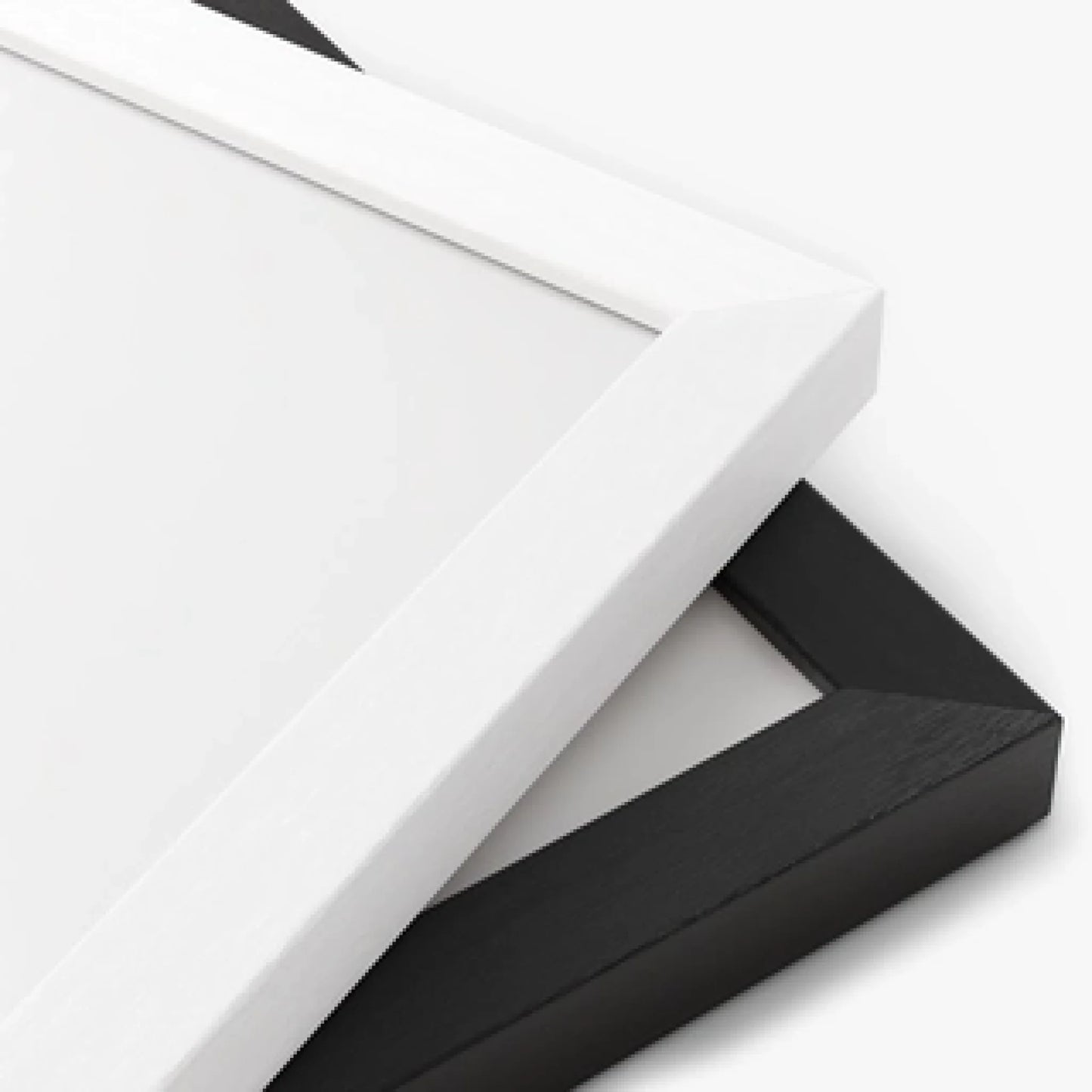 Poster Frame Finishes Photo